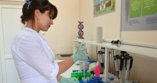 Первая биопрепарат против грибных болезней зерновых культур в России