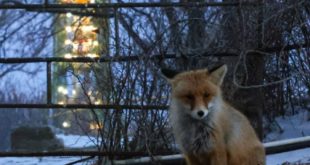 Конкурс от Ростех: угадай событие