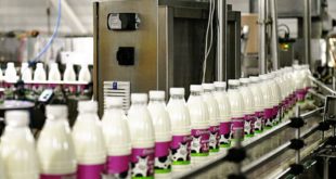 Инвестиции «Саянмолоко»: 300 миллионов рублей в новый цех производства