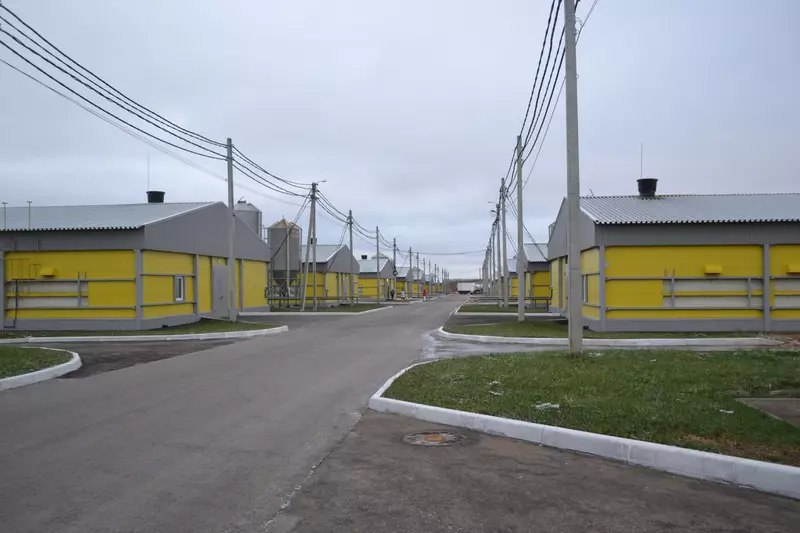 Открытие новых птичников холдинга «Русское поле» в Нижегородской области