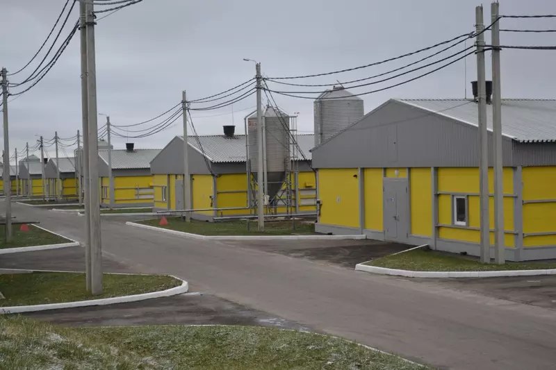 Открытие новых птичников холдинга «Русское поле» в Нижегородской области
