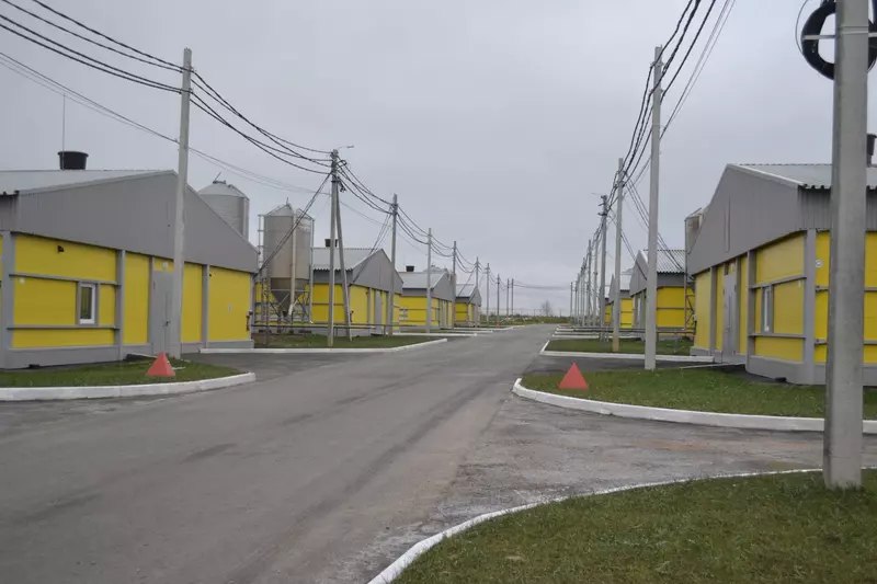 Открытие новых птичников холдинга «Русское поле» в Нижегородской области