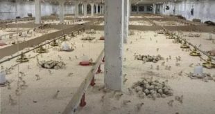 Запуск крупного комплекса по разведению индеек в Пермском крае