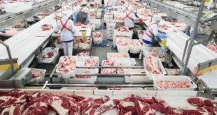 Рост экспорта мяса и мясопродуктов в 2025 году