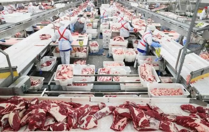 Рост экспорта мяса и мясопродуктов в 2025 году Рост экспорта мяса и мясопродуктов в 2025 году