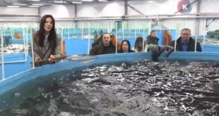 Открытие нового завода по выращиванию форели в Калининграде