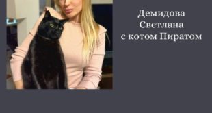 Трогательные истории о кошках от сотрудников ОДК-Сервис