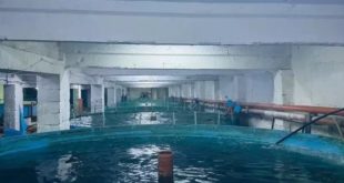 В ЛНР наладили выращивание форели и осетра в фермерском хозяйстве