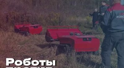 В России испытали робота для борьбы с борщевиком Сосновского