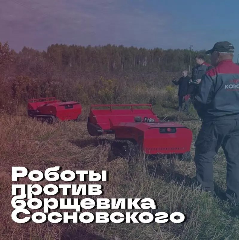 В России испытали робота для борьбы с борщевиком Сосновского