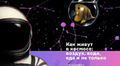 Как живут в космосе: воздух, вода, еда и будущее космического дома