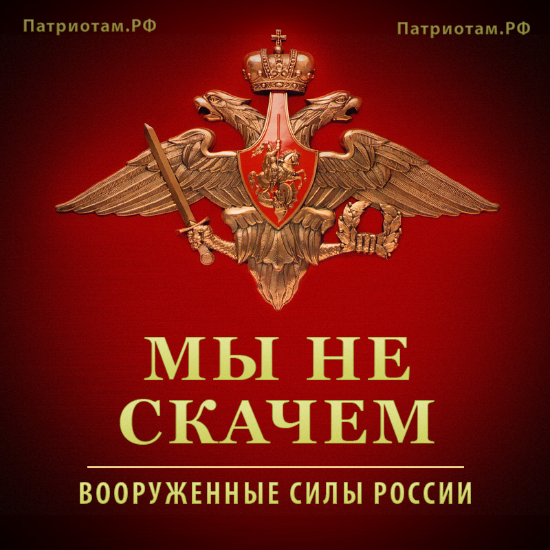 Мы не скачем - Вооруженные силы России