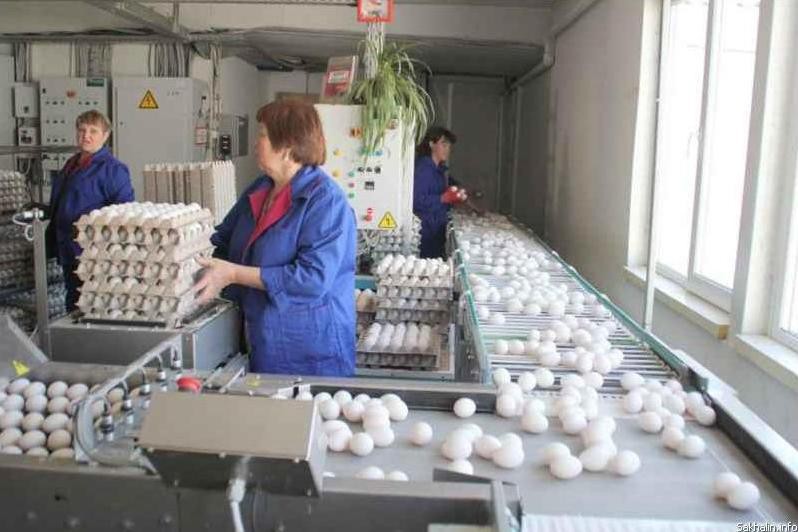 В Южно-Сахалинске открыт корпус птицефабрики
