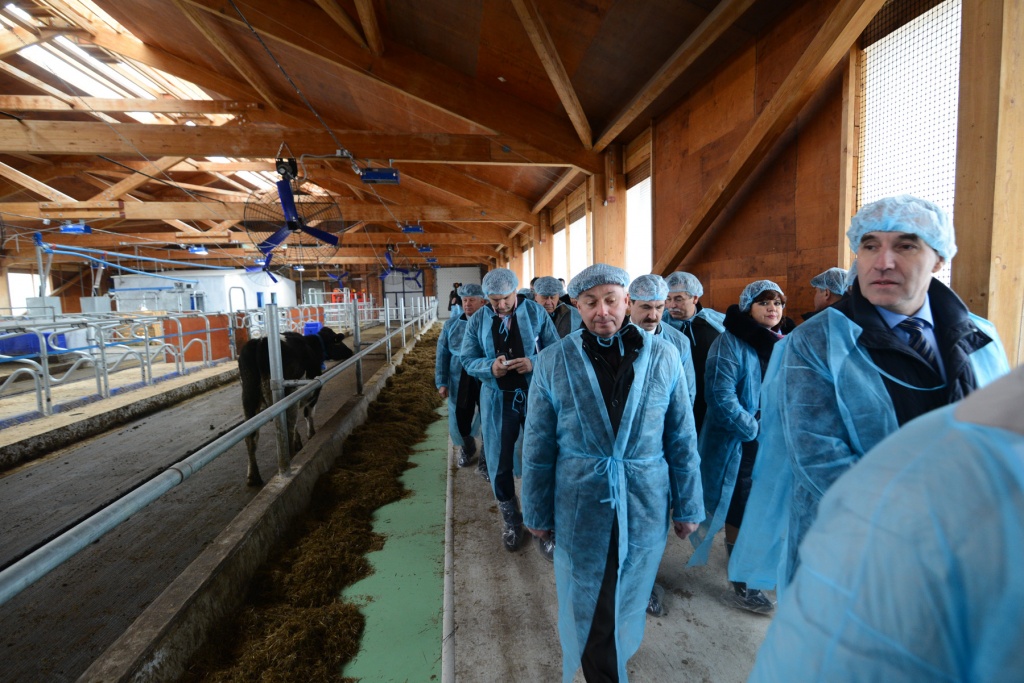 Первая в крае молочная роботизированная ферма открылась в Приморье