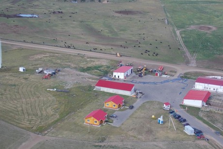 "Мираторг" построил первую ферму КРС в Брасовском районе Брянской области