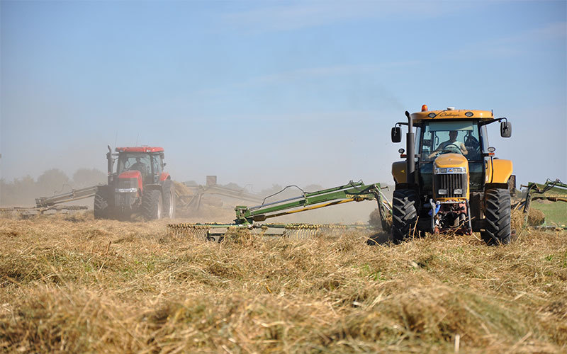Мираторг запускает проект по производству кормовых трав для скота с целью отказа от импорта