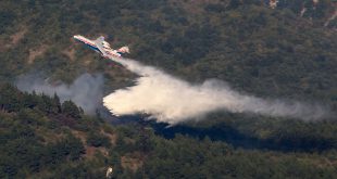 Россия отправляет два самолета Бе-200ЧС в Португалию для помощи в тушении пожаров
