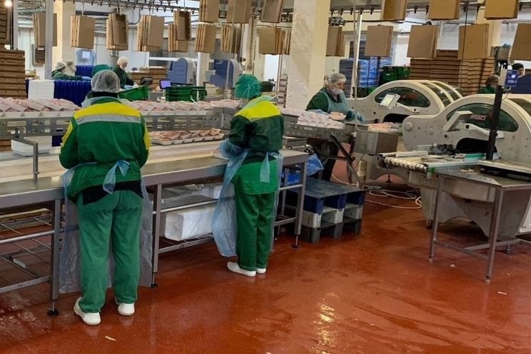 Увеличение объемов продукции на птицеперерабатывающем комбинате в Ростовской области