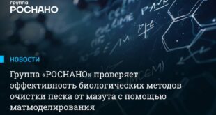 Инновационные подходы к биологической очистке среды от нефти