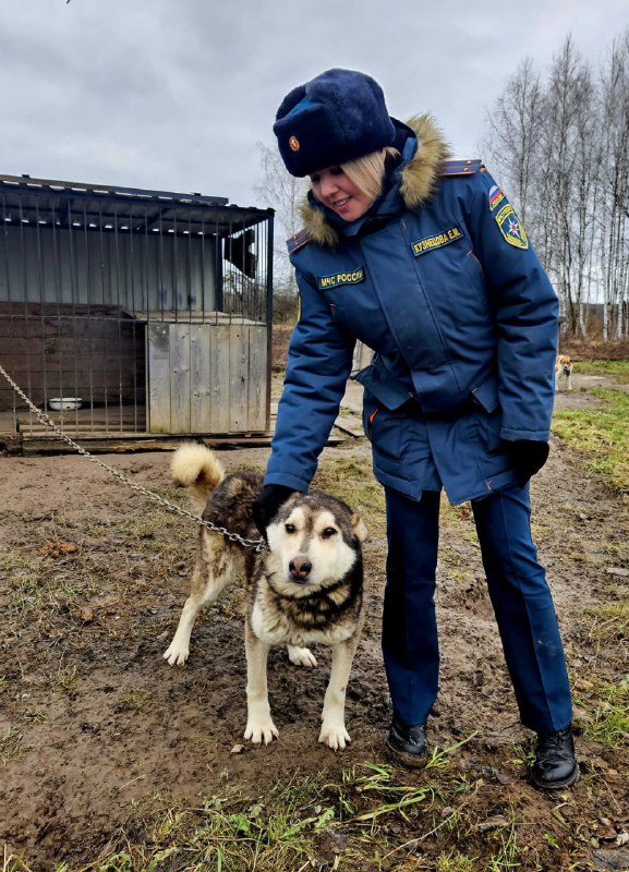 Волонтёрская инициатива смоленских атомщиков в пользу животных