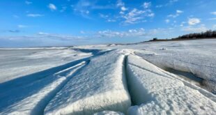 Мировой день воды: важность сохранения пресных ресурсов