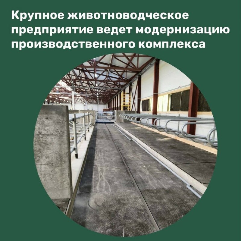 В апреле 2025 года в стране открыто восемь новых предприятий АПК и пищевой промышленности