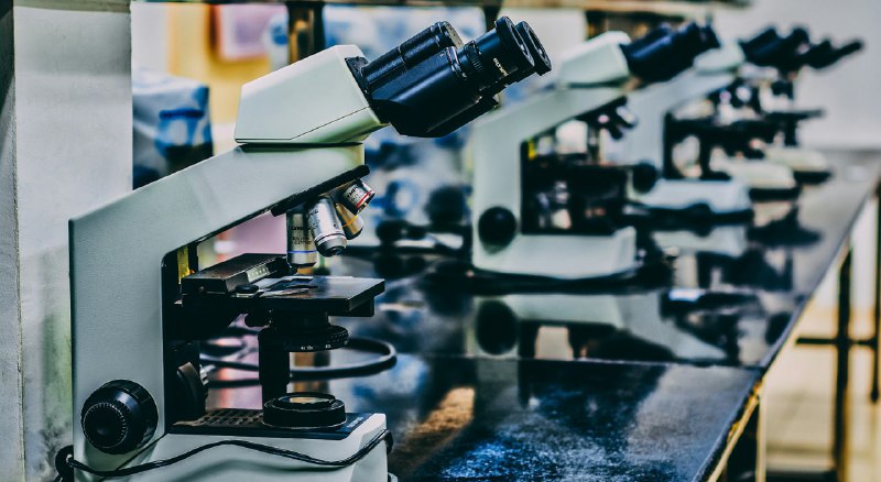 Искусственный интеллект ускоряет разработку сверхпрочных материалов на базе бористых соединений