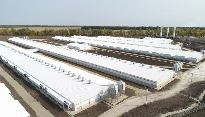 В Тульской области открыт свиноводческий комплекс «Степной»