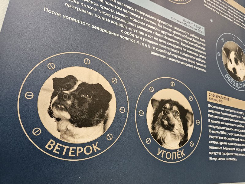 Космическое путешествие собак Ветерка и Уголька