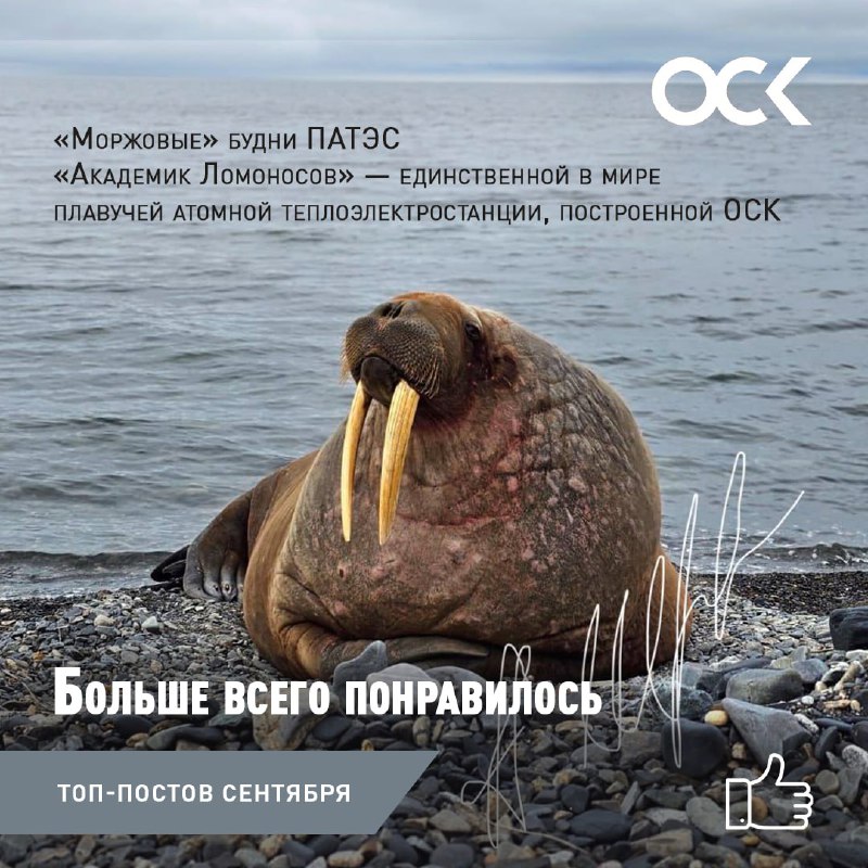 Итоги сентября: самые популярные посты