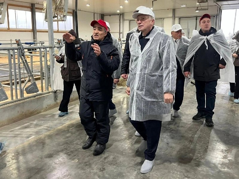 Новый молочный комплекс в Томской области: 120 рабочих мест и миллиарды инвестиций