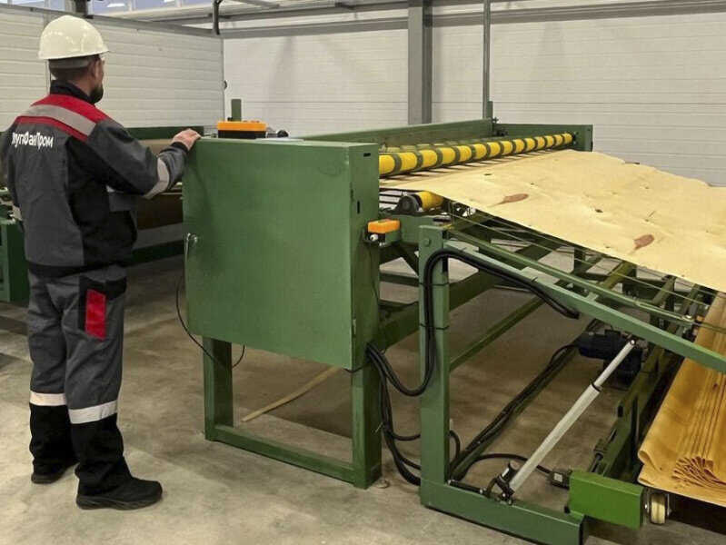 Открытие нового завода по производству березового шпона в Костромской области