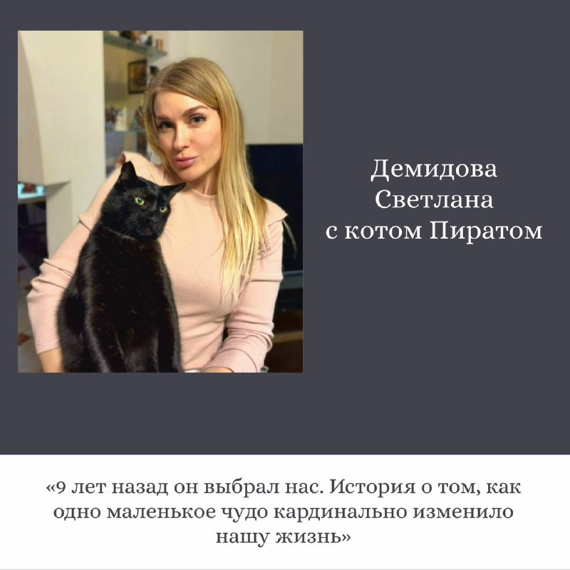 Трогательные истории о кошках от сотрудников ОДК-Сервис
