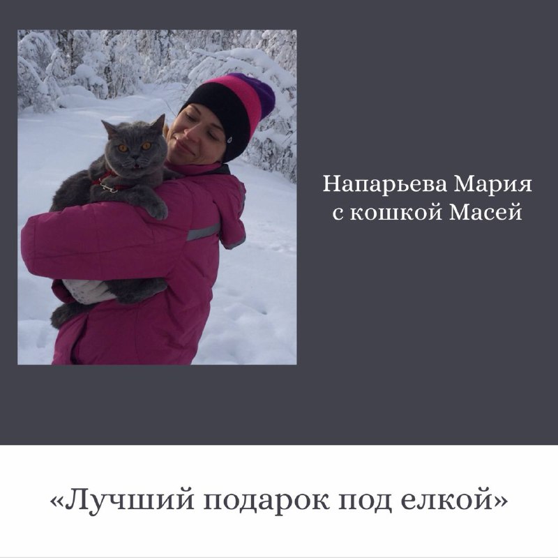 Трогательные истории о кошках от сотрудников ОДК-Сервис