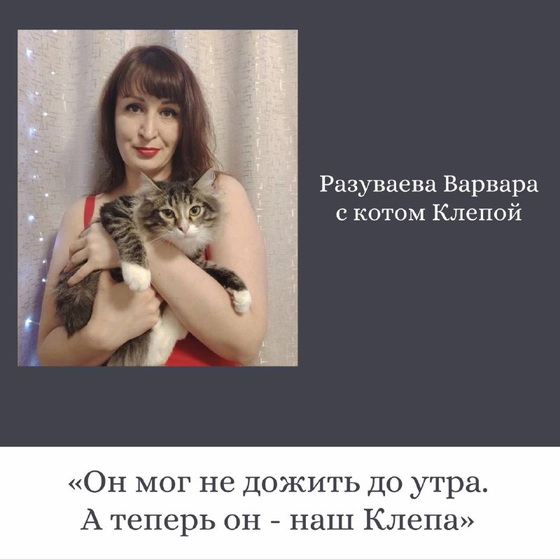 Трогательные истории о кошках от сотрудников ОДК-Сервис