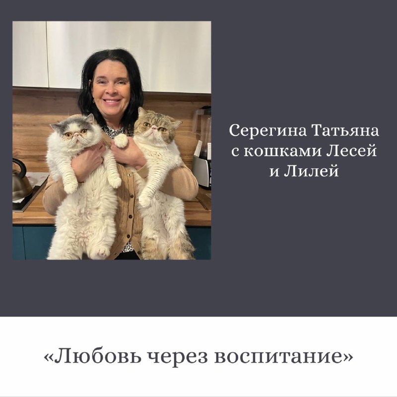 Трогательные истории о кошках от сотрудников ОДК-Сервис