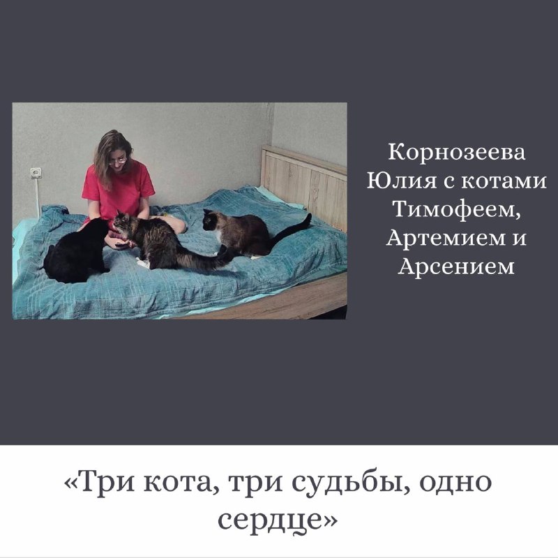 Трогательные истории о кошках от сотрудников ОДК-Сервис