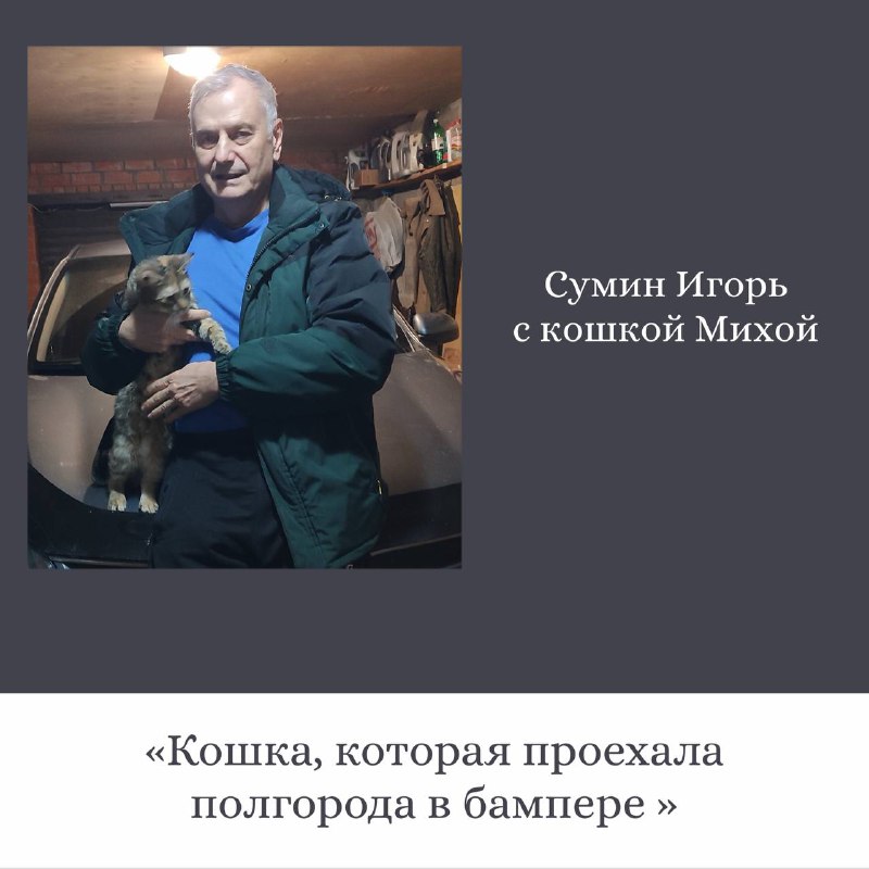 Трогательные истории о кошках от сотрудников ОДК-Сервис