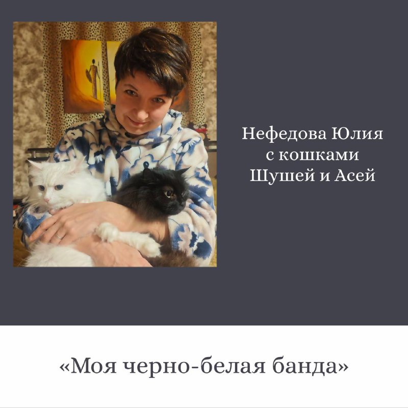 Трогательные истории о кошках от сотрудников ОДК-Сервис