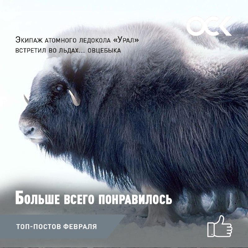 Итоги февраля: самые популярные посты