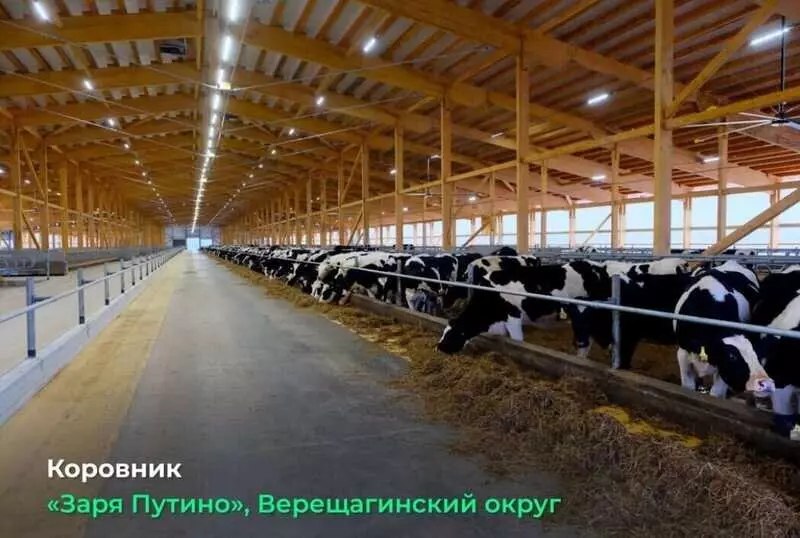 Развитие агропромышленного комплекса в декабре 2025 года