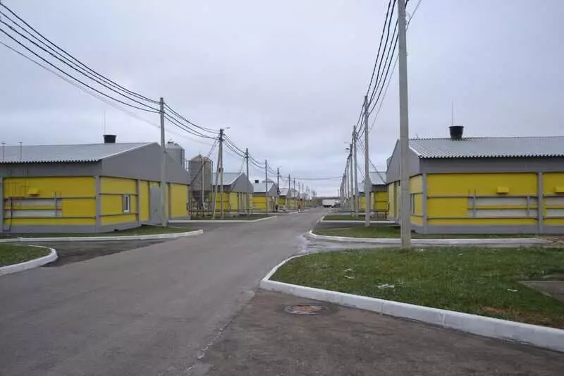 Развитие агропромышленного комплекса в декабре 2025 года