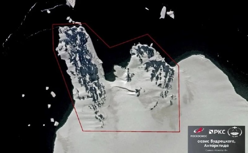 Новый оазис в Антарктиде: открытие российских ученых
