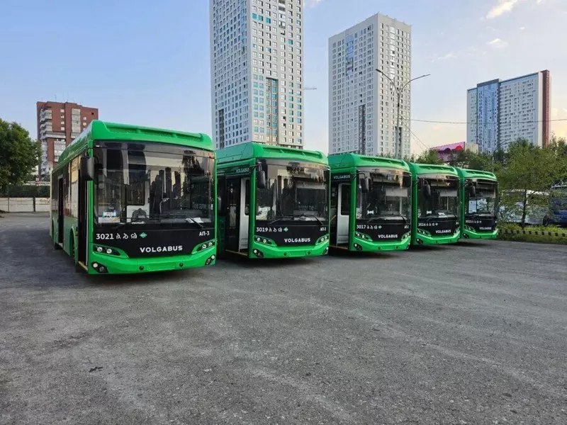 В Екатеринбург прибыли первые пять новых автобусов-гармошек В Екатеринбург прибыли первые пять новых автобусов-гармошек