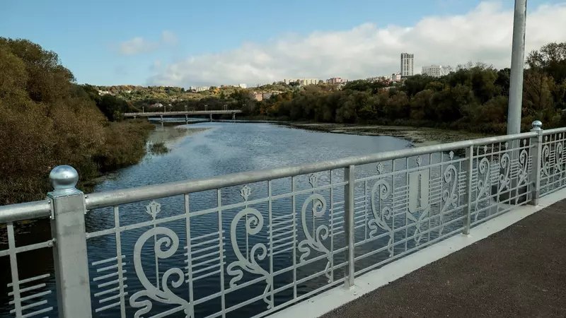 В Ульяновске запустили рабочее движение по новому мосту через Свиягу