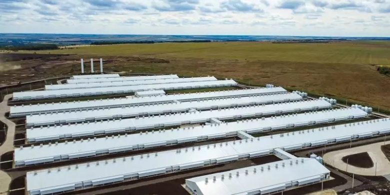 В Воронежской области запустили новый свиноводческий комплекс «Русановский»