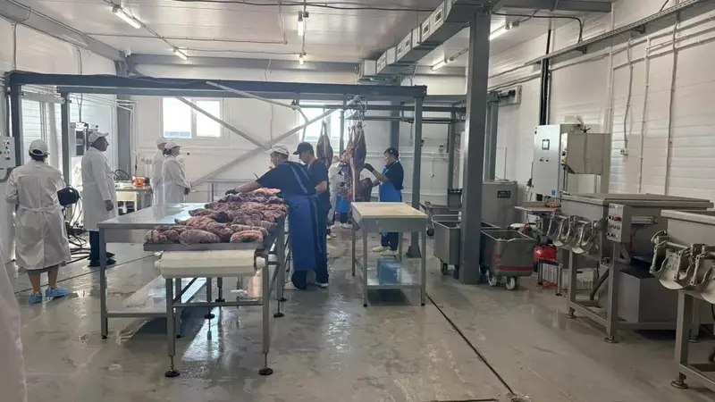 Цех глубокой переработки оленины на Ямале: проект, которым можно гордиться Цех глубокой переработки оленины на Ямале: проект, которым можно гордиться